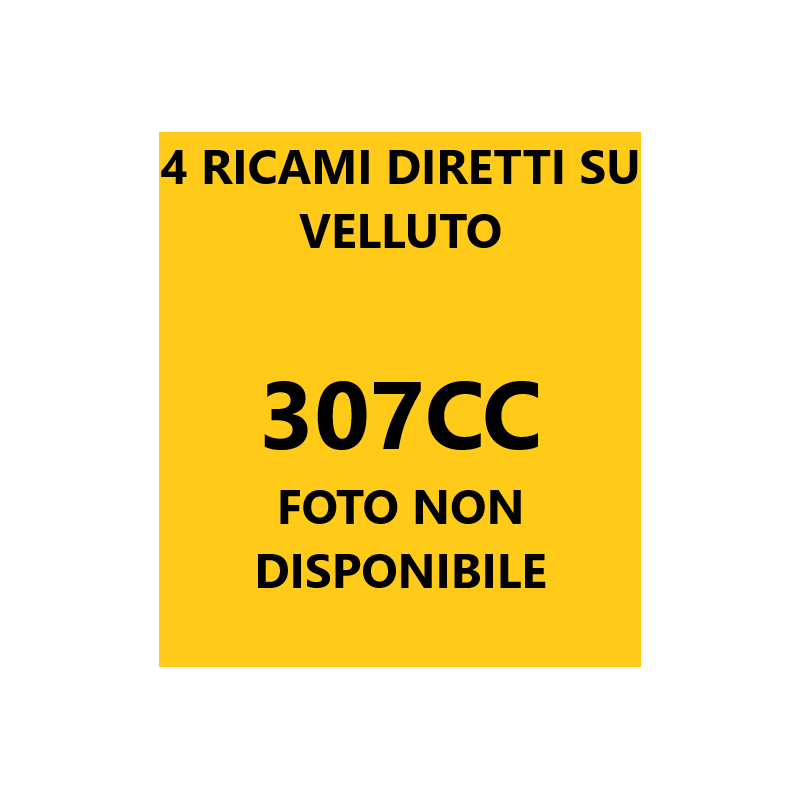 Logo 307 CC con 4 ricami diretti su tappeti anteriori e posteriori