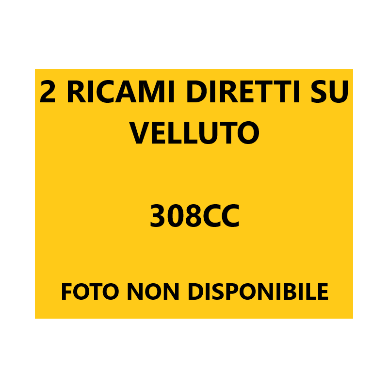 Logo 308 CC con 2 ricami diretti su tappeti anteriori